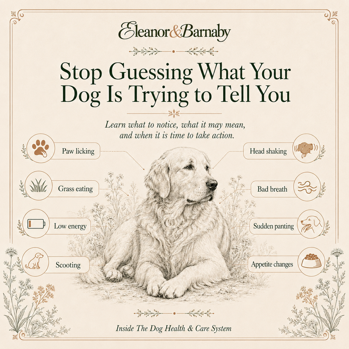 The Dog Health & Care System