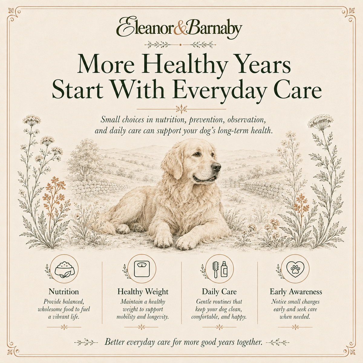 The Dog Health & Care System